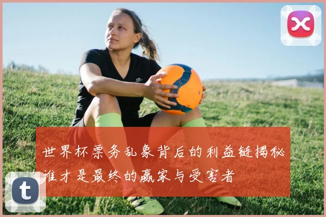 世界杯票务乱象背后的利益链揭秘谁才是最终的赢家与受害者